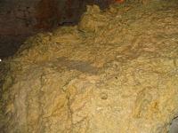 Albums/20060200-New Zealand 2006/20060318-Kaikiura/80